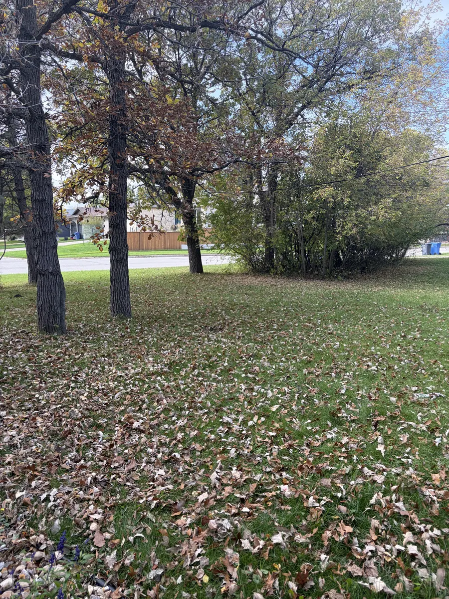 Front lawn covered in fallen leaves before a fall cleanup in Winnipeg Front lawn covered in fallen leaves before a fall cleanup in Winnipeg